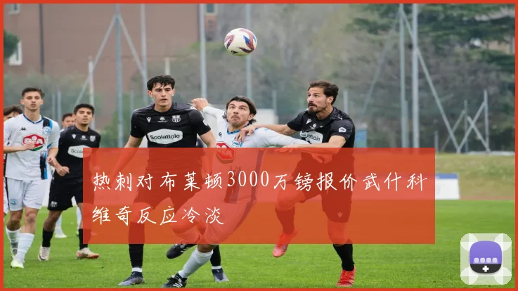 热刺对布莱顿3000万镑报价武什科维奇反应冷淡