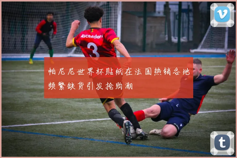 帕尼尼世界杯贴纸在法国热销各地频繁缺货引发抢购潮